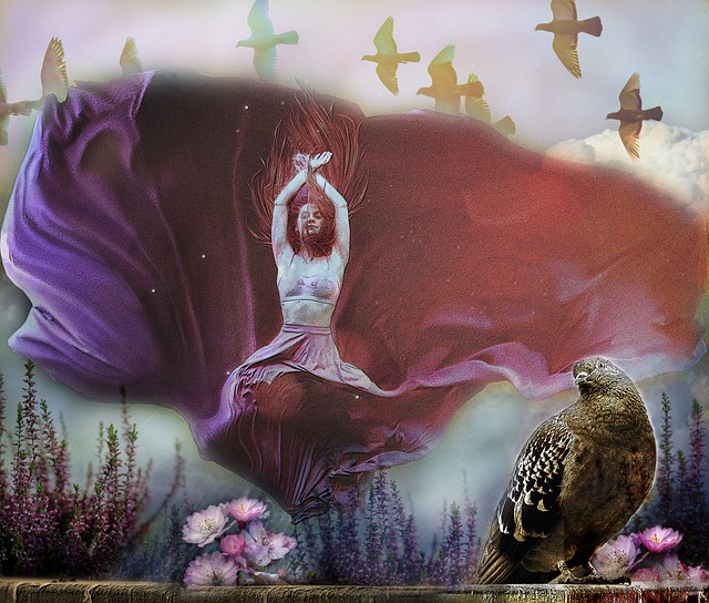 导力在运动 导力在运动