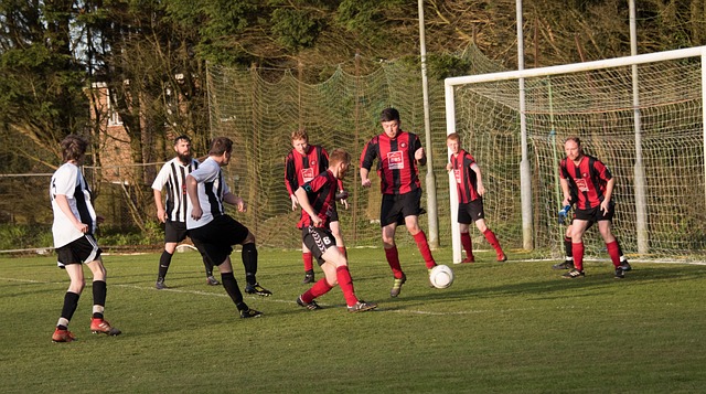 鳄梨等食物 鳄梨等食物